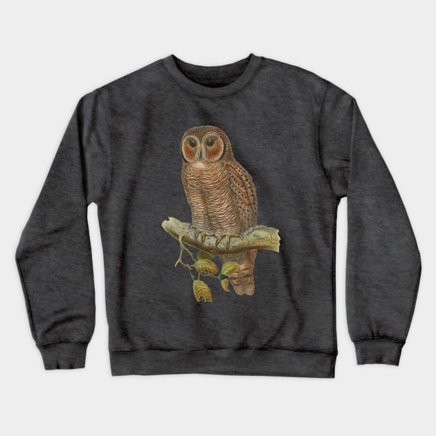 Lonely Owl Realistic Drawing Crewneck Sweatshirt by PatrioTEEism